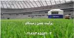 تاثیر شگفت انگیز پرلیت زمین کاو در سرس...